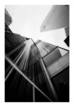 Poster BLACK AND WHITE ARCHITECTURAL GLASS SKYSCRAPERS