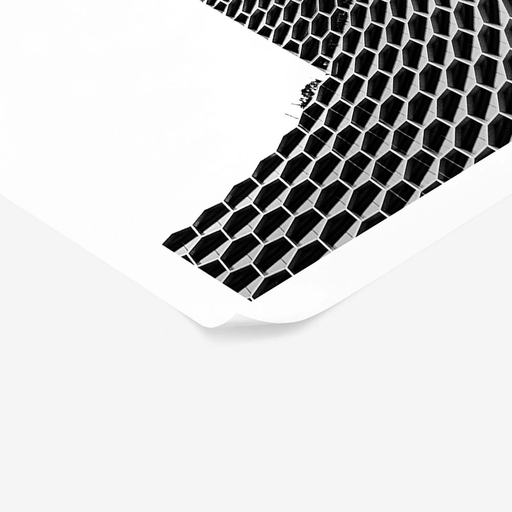 Poster BLACK AND WHITE ARCHITECTURAL HONEYCOMB FACADE 2
