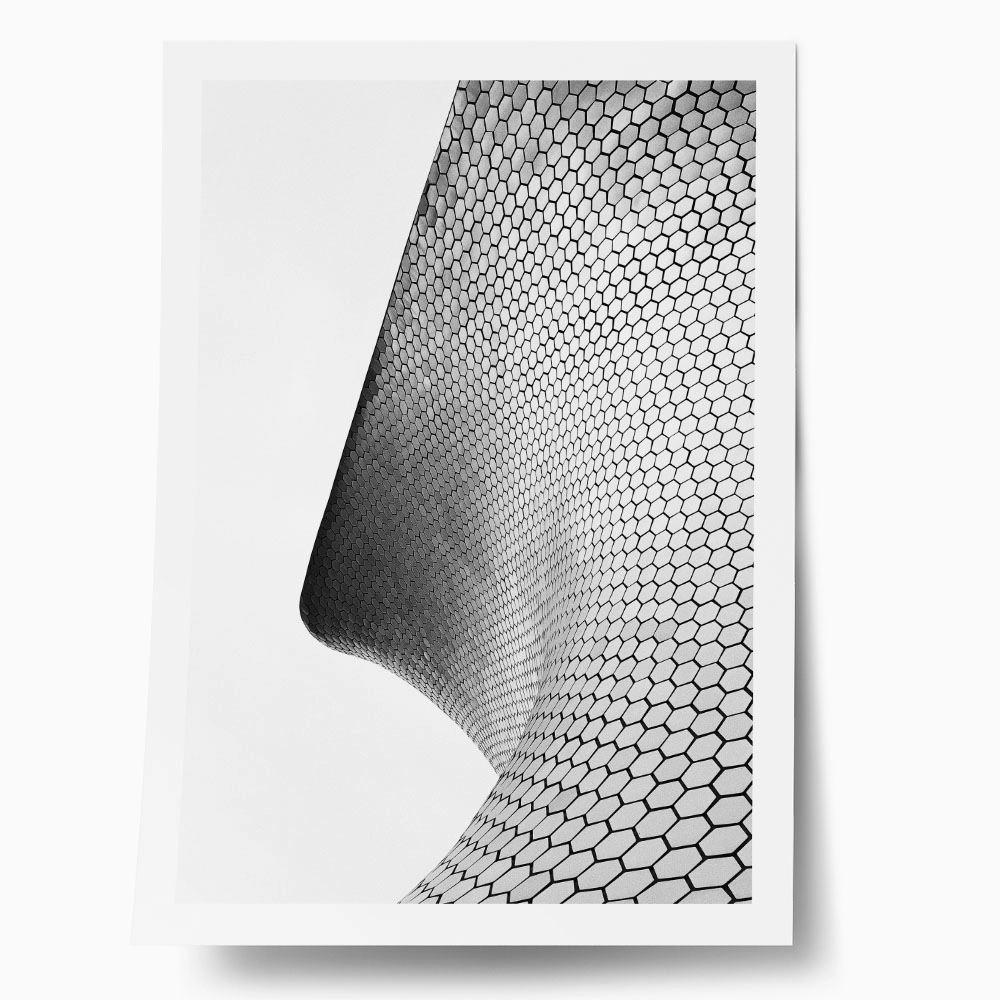 Poster BLACK AND WHITE ARCHITECTURAL HONEYCOMB FACADE