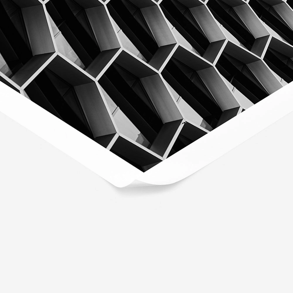 Poster BLACK AND WHITE ARCHITECTURAL HONEYCOMB STRUCTURE 2