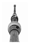 Poster BLACK AND WHITE ARCHITECTURAL OBSERVATION TOWER