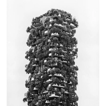 Poster BLACK AND WHITE ARCHITECTURAL VERTICAL FOREST - Πολεις - Χαρτες Sticky 2