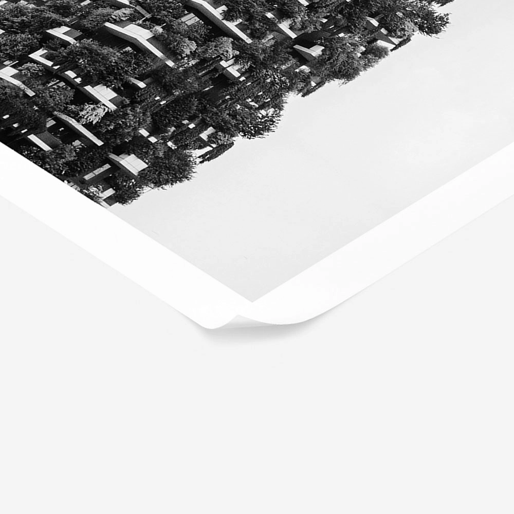 Poster BLACK AND WHITE ARCHITECTURAL VERTICAL FOREST