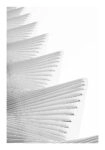 Poster BLACK AND WHITE ARCHITECTURAL WAVY STRUCTURAL BEAMS