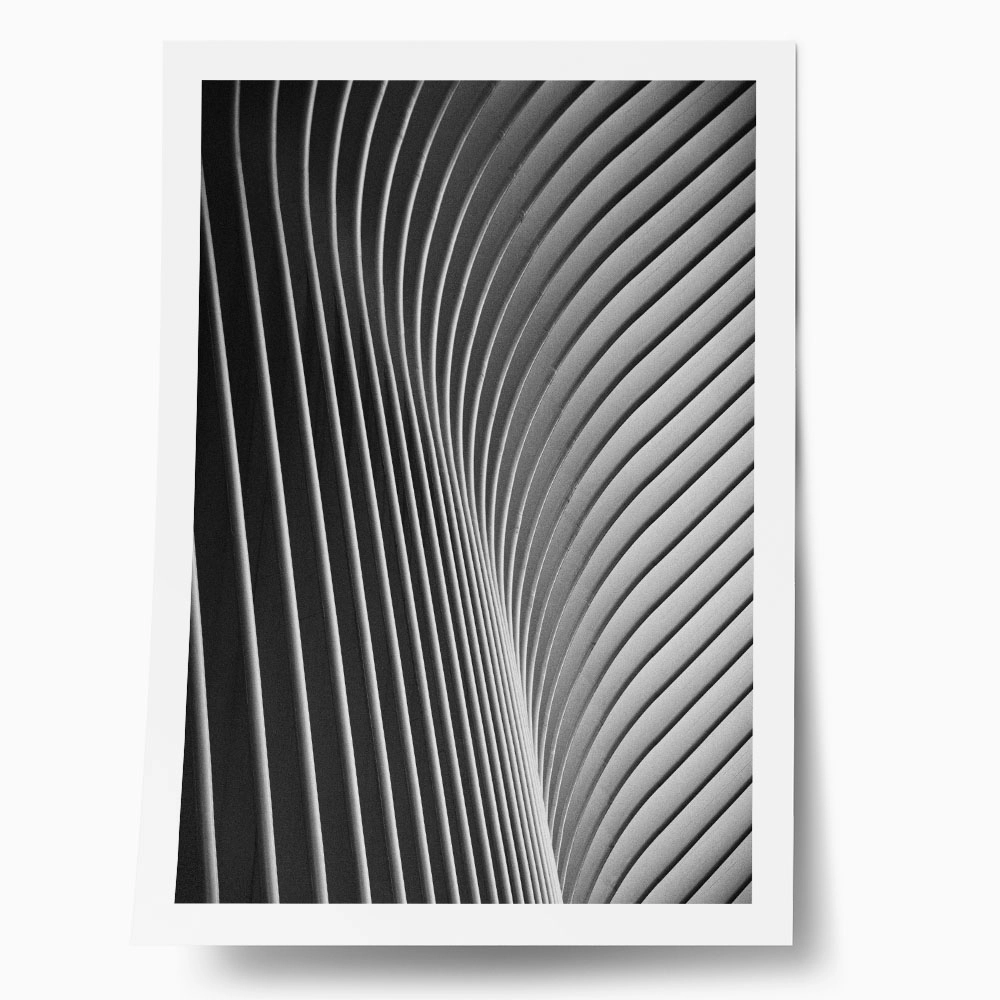 Poster BLACK AND WHITE ARCHITECTURAL WAVY STRUCTURAL ELEMENTS