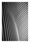 Poster BLACK AND WHITE ARCHITECTURAL WAVY STRUCTURAL ELEMENTS