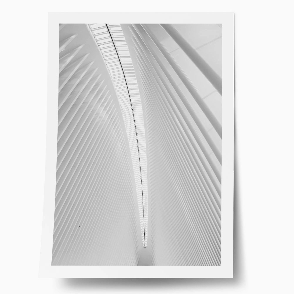 Poster BLACK AND WHITE ARCHITECTURAL WHITE STEEL RIBS