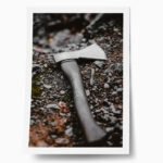 Poster RUSTIC FARMHOUSE AXE 2