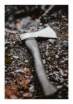 Poster RUSTIC FARMHOUSE AXE 2