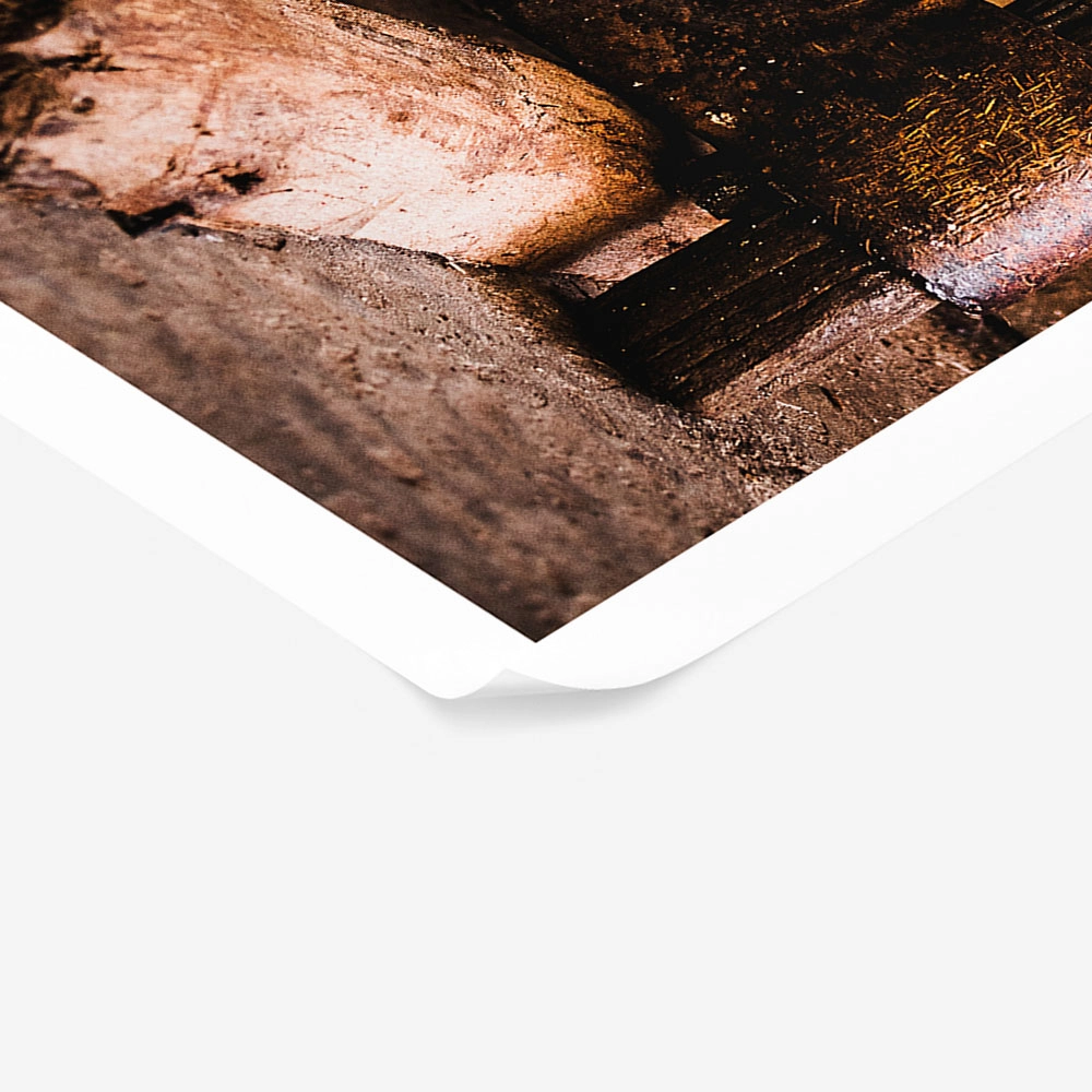 Poster RUSTIC FARMHOUSE AXE