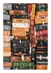 Poster RUSTIC FARMHOUSE BAGS