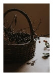 Poster RUSTIC FARMHOUSE BASKET