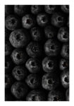Poster RUSTIC FARMHOUSE BERRIES 2