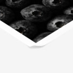 Poster RUSTIC FARMHOUSE BERRIES 2