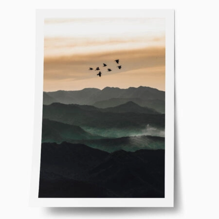 Poster RUSTIC FARMHOUSE BIRDS FLYING - 