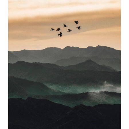 Poster RUSTIC FARMHOUSE BIRDS FLYING -  Sticky 2