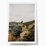 Poster RUSTIC FARMHOUSE BIRD