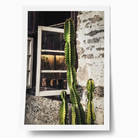 Poster RUSTIC FARMHOUSE CACTUS 3 - 