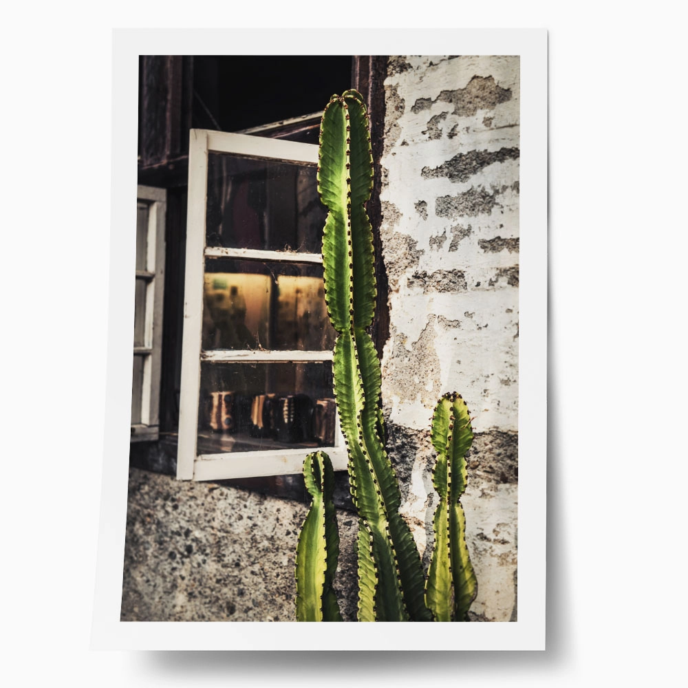 Poster RUSTIC FARMHOUSE CACTUS 3