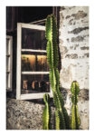 Poster RUSTIC FARMHOUSE CACTUS 3