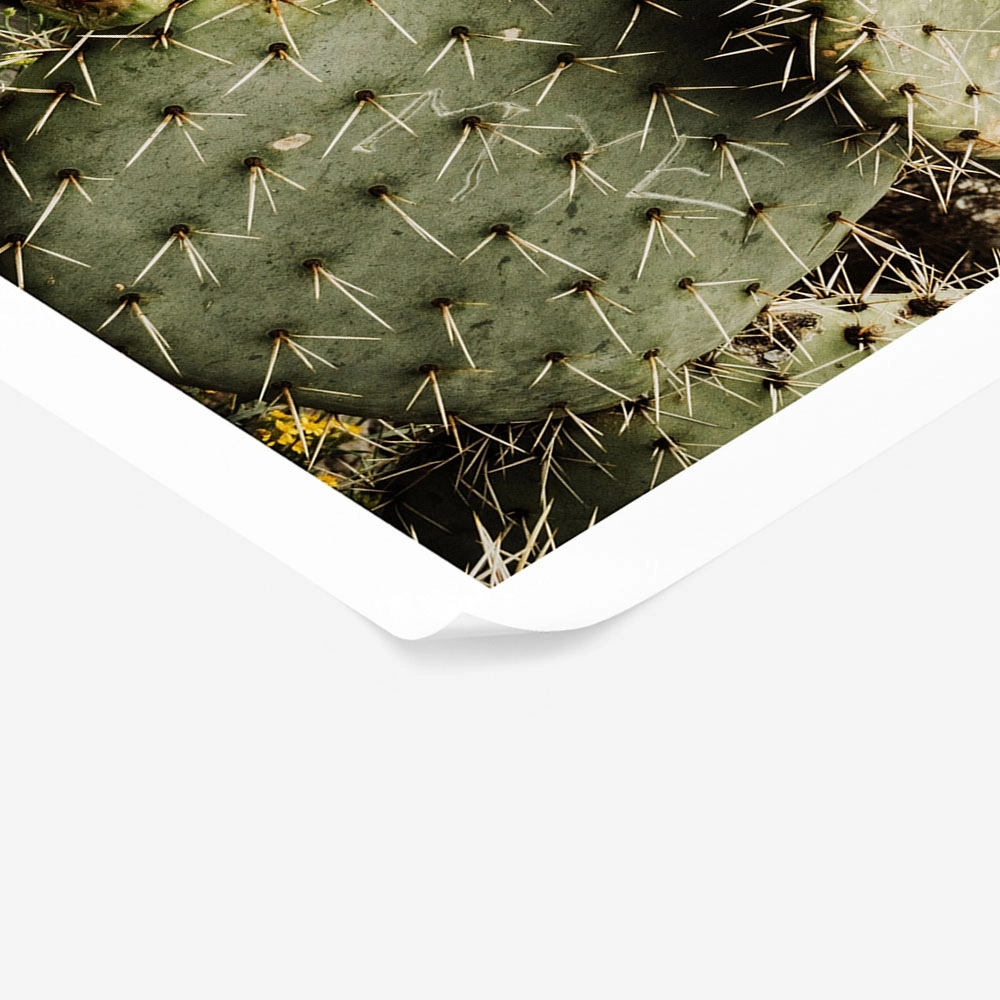 Poster RUSTIC FARMHOUSE CACTUS