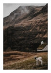 Poster RUSTIC FARMHOUSE CALF