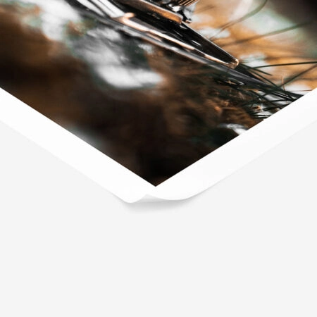 Poster RUSTIC FARMHOUSE CAMERA 2 -  Sticky 1