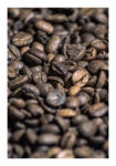 Poster RUSTIC FARMHOUSE COFFEE BEANS