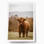 Poster RUSTIC FARMHOUSE COW 11