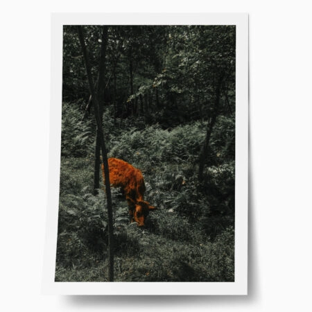 Poster RUSTIC FARMHOUSE COW 12 - 