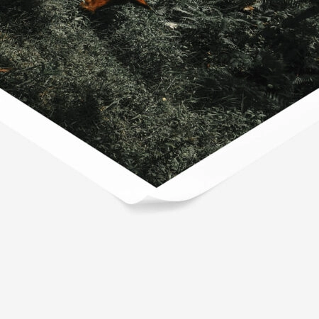 Poster RUSTIC FARMHOUSE COW 12 -  Sticky 1