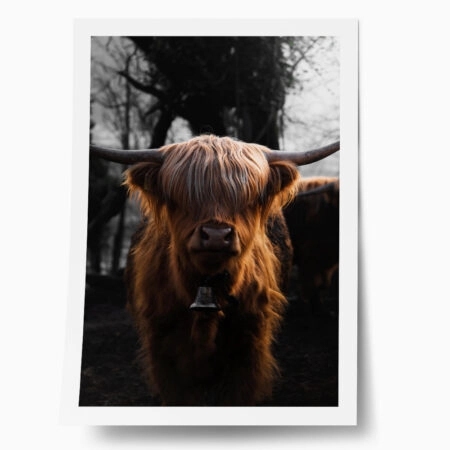 Poster RUSTIC FARMHOUSE COW 3 - 