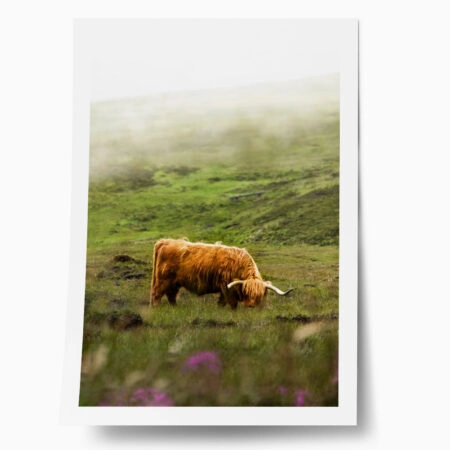 Poster RUSTIC FARMHOUSE COW 7 - 