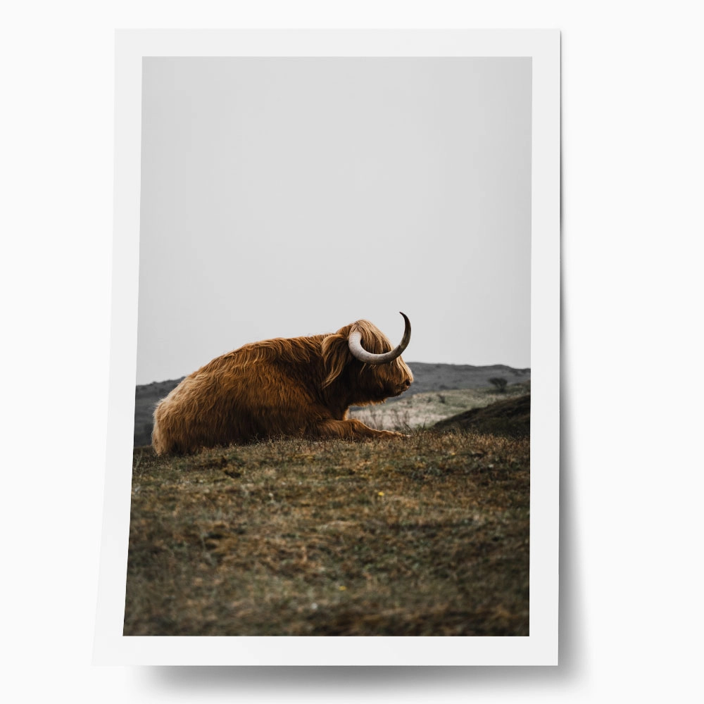 Poster RUSTIC FARMHOUSE COW 9