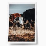 Poster RUSTIC FARMHOUSE COWS 2