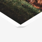 Poster RUSTIC FARMHOUSE COWS 3