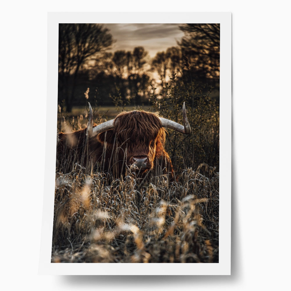 Poster RUSTIC FARMHOUSE COW