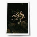 Poster RUSTIC FARMHOUSE DAISIES