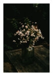 Poster RUSTIC FARMHOUSE DAISIES