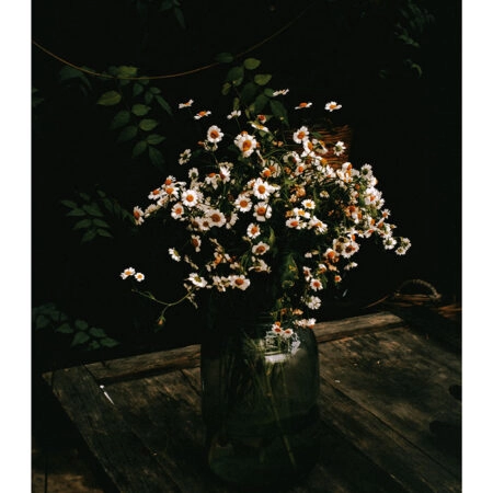 Poster RUSTIC FARMHOUSE DAISIES -  Sticky 2