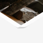 Poster RUSTIC FARMHOUSE DECORATIVE