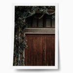 Poster RUSTIC FARMHOUSE DOOR 3
