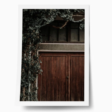 Poster RUSTIC FARMHOUSE DOOR 3 - 