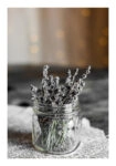Poster RUSTIC FARMHOUSE DRIED HERBS