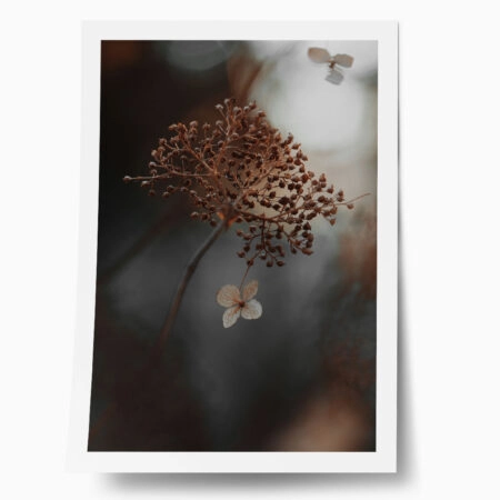 Poster RUSTIC FARMHOUSE DRIED LEAVES 2 - 
