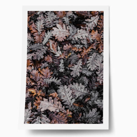 Poster RUSTIC FARMHOUSE DRIED LEAVES 3 - 