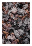 Poster RUSTIC FARMHOUSE DRIED LEAVES 3