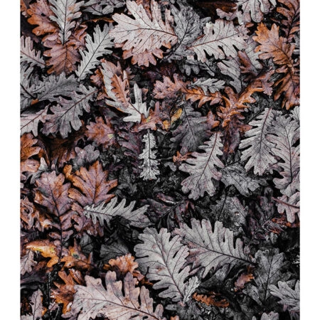 Poster RUSTIC FARMHOUSE DRIED LEAVES 3 -  Sticky 2