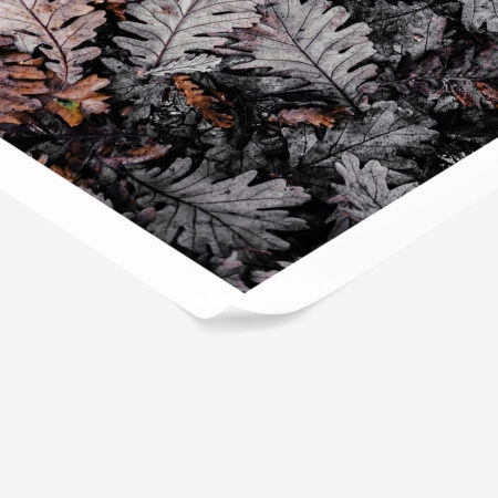 Poster RUSTIC FARMHOUSE DRIED LEAVES 3 -  Sticky 1