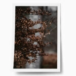Poster RUSTIC FARMHOUSE DRIED LEAVES 4